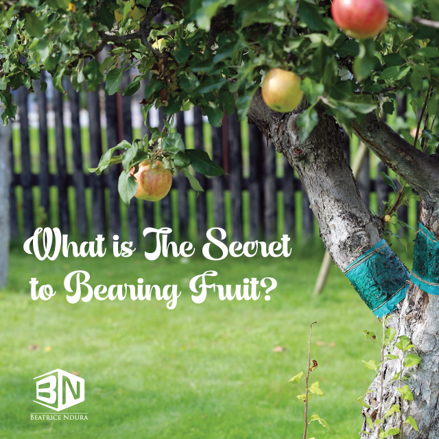 What is The Secret to Bearing Fruit?